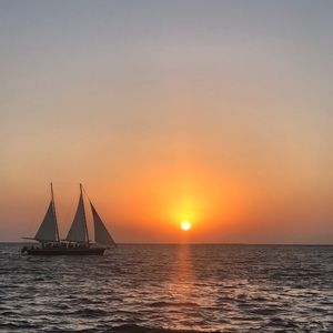 Meet your Posher, Noy